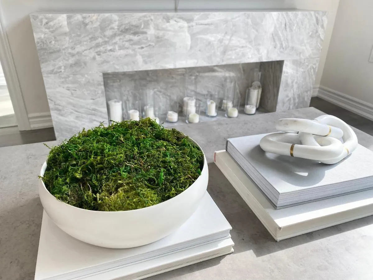Modern And Bright Luxury Home Centrally Located In Toronto'S Gta Apartment Toronto