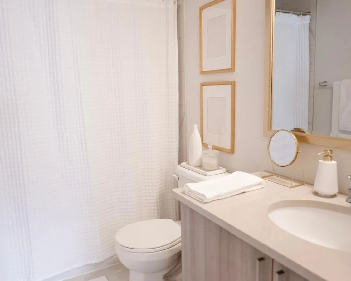 Apartment Modern And Bright Luxury Home Centrally Located In Toronto'S Gta Canada